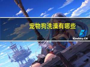 宠物狗洗澡有哪些