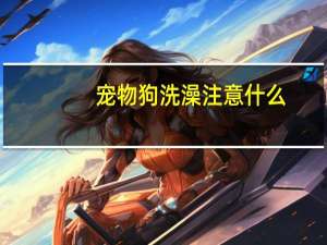 宠物狗洗澡注意什么