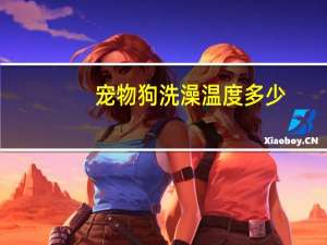 宠物狗洗澡温度多少