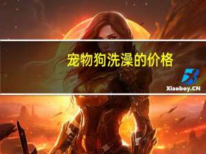 宠物狗洗澡的价格