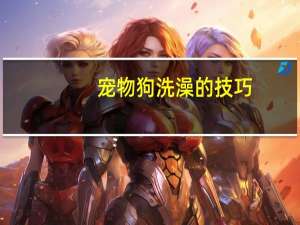 宠物狗洗澡的技巧
