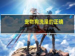 宠物狗洗澡的正确