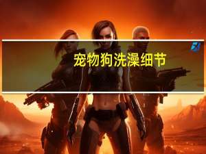 宠物狗洗澡细节