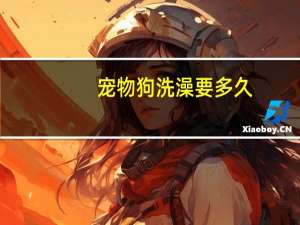 宠物狗洗澡要多久