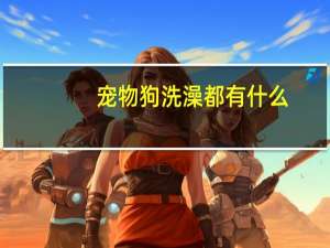 宠物狗洗澡都有什么