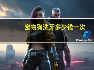 宠物狗洗牙多少钱一次