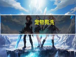 宠物狗洗