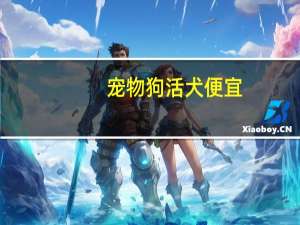 宠物狗活犬便宜