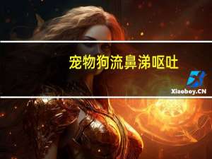 宠物狗流鼻涕呕吐