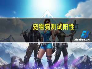 宠物狗测试阳性