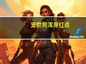 宠物狗浑身红点