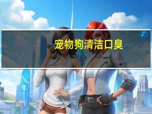 宠物狗清洁口臭