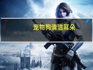 宠物狗清洁耳朵