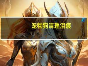 宠物狗清理泪痕