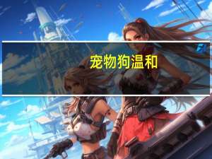 宠物狗温和