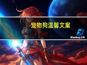 宠物狗温馨文案
