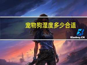 宠物狗湿度多少合适