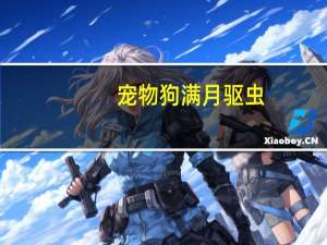 宠物狗满月驱虫