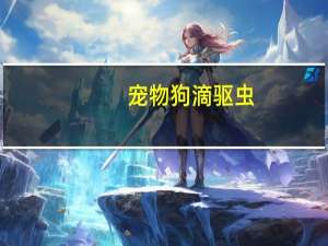 宠物狗滴驱虫