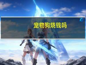 宠物狗烧钱吗
