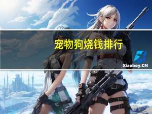 宠物狗烧钱排行
