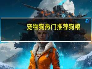 宠物狗热门推荐狗粮