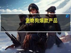 宠物狗爆款产品
