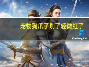宠物狗爪子划了轻微红了