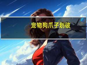 宠物狗爪子划破