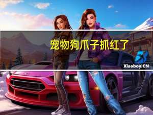 宠物狗爪子抓红了