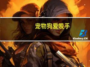 宠物狗爱咬手