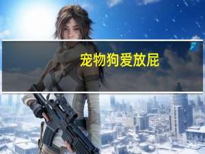 宠物狗爱放屁