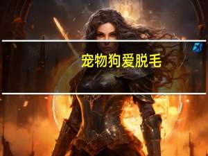 宠物狗爱脱毛
