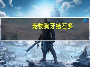 宠物狗牙结石多