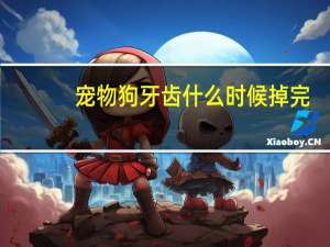 宠物狗牙齿什么时候掉完