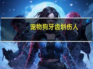 宠物狗牙齿划伤人