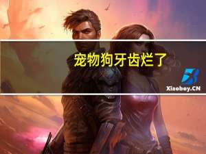 宠物狗牙齿烂了