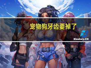 宠物狗牙齿要掉了
