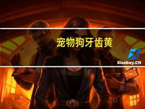 宠物狗牙齿黄
