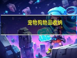 宠物狗物品收纳