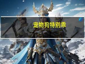 宠物狗特别乖