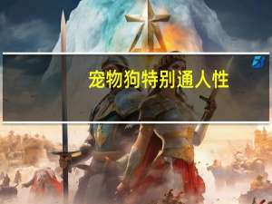 宠物狗特别通人性
