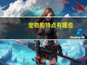 宠物狗特点有哪些