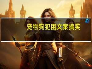 宠物狗犯困文案搞笑