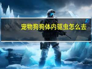 宠物狗狗体内驱虫怎么去