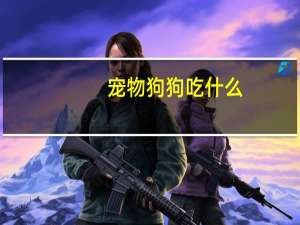 宠物狗狗吃什么