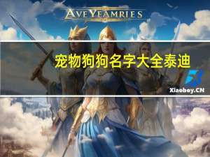 宠物狗狗名字大全泰迪
