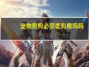 宠物狗狗必须吃狗粮吗吗