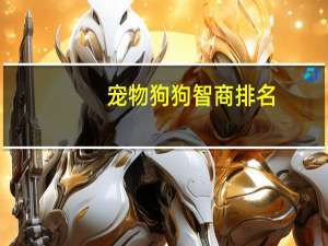 宠物狗狗智商排名