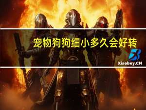 宠物狗狗细小多久会好转